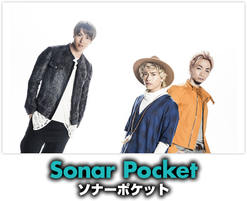 Sonar Pokcet　ソナーポケット